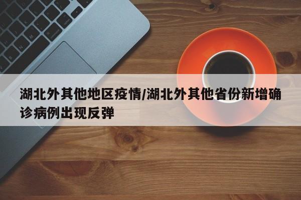 湖北外其他地区疫情/湖北外其他省份新增确诊病例出现反弹